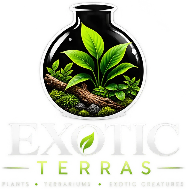 Exotic Terras